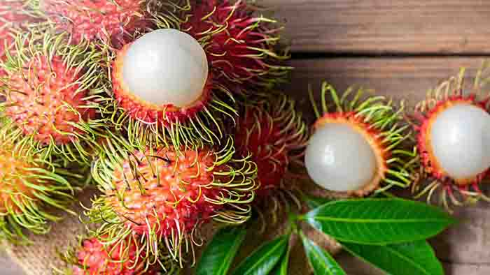 Ini Dia 6 Manfaat Kesehatan Tak Terduga dari Buah Rambutan