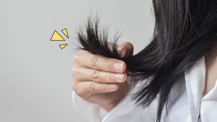 Tips Ampuh Atasi Rambut Rusak dan Kenali Penyebabnya