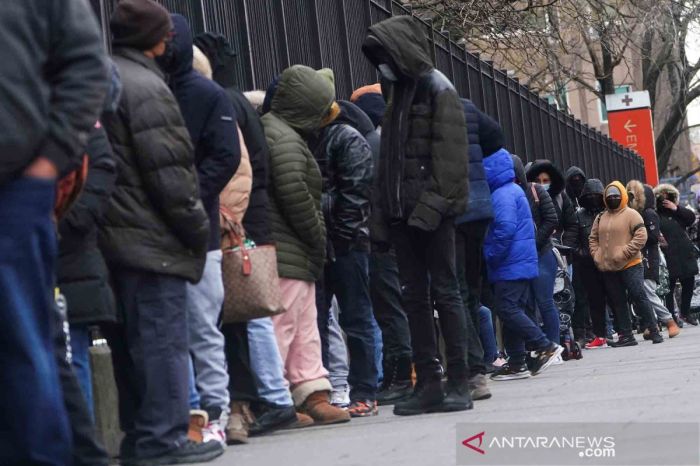 Kabar Terbaru Seputar Virus dan Pandemi Global