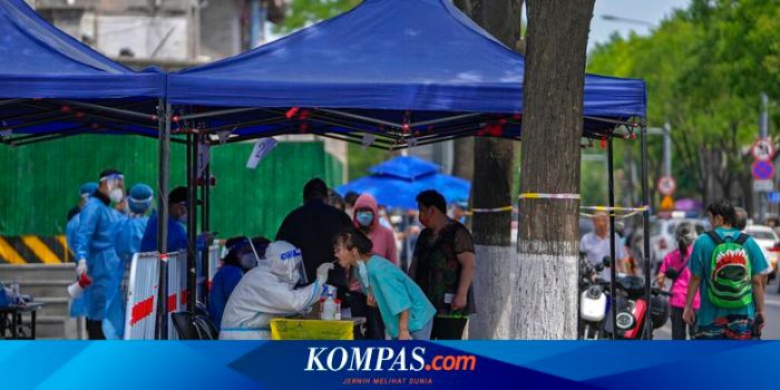 Kabar Terbaru Seputar Virus dan Pandemi Global