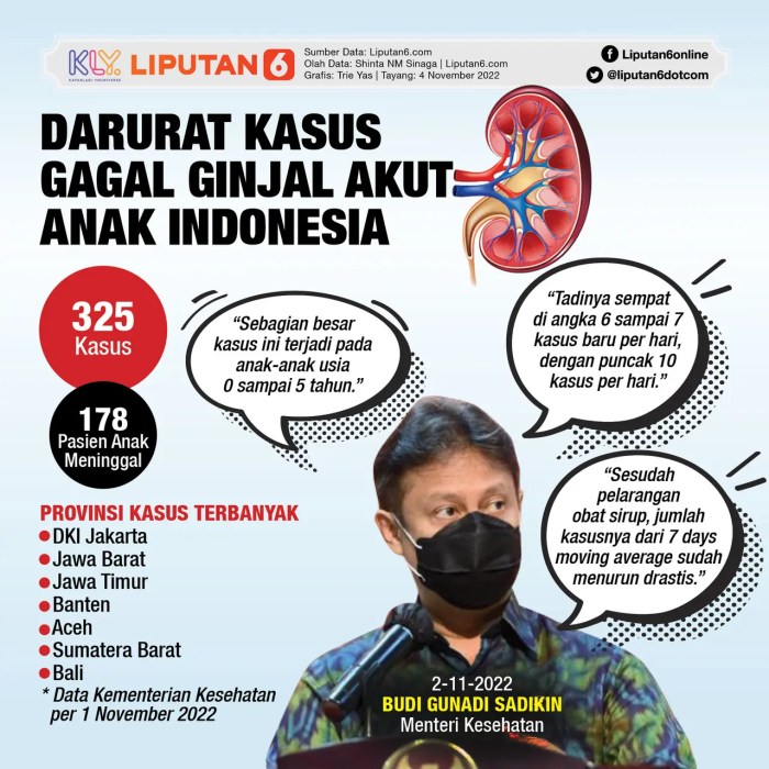 SINDOgrafis: 4 Penyebab Gagal Ginjal di Usia Muda, Salah Satunya Infeksi SINDOgrafis: 4 Penyebab Gagal Ginjal di Usia Muda, Salah Satunya Infeksi