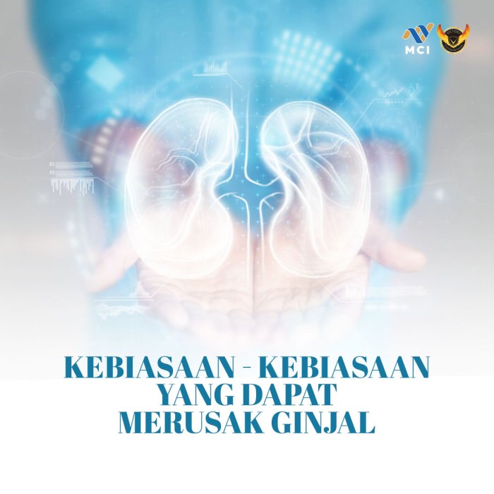 KEBIASAAN - KEBIASAAN YANG DAPAT MERUSAK GINJAL 5 Kebiasaan Sepele yang Merusak Ginjal