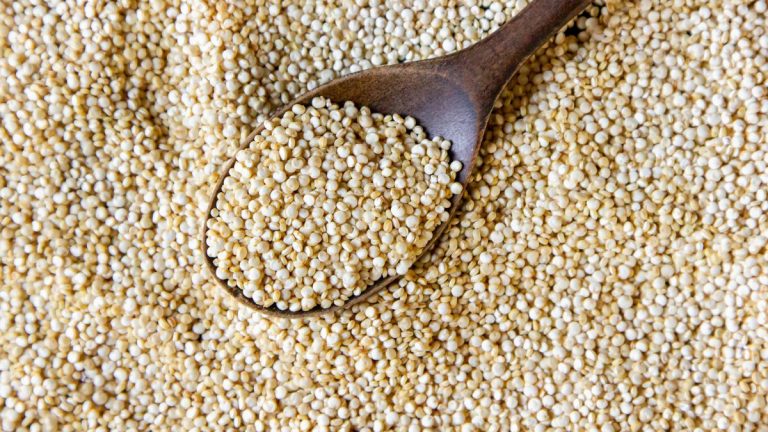 Pengembangan Sosis Ayam Sorgum Tinggi Protein untuk Pengidap Diabetes