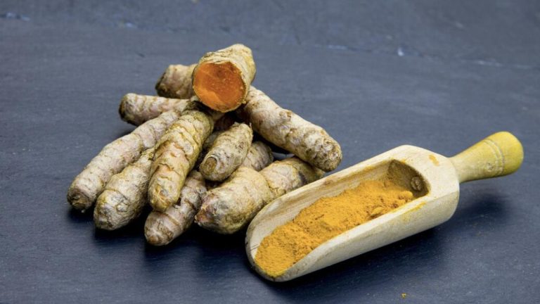 Resep Jamu Saintifik dan Cara Pengolahannya untuk Mengatasi Ambeien