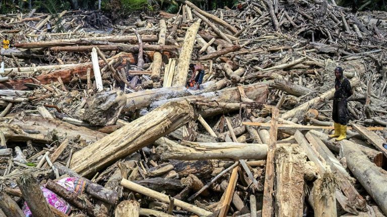 Bekas Gergaji Kayu Gelondongan Sumatra Terancam Jerat Pidana