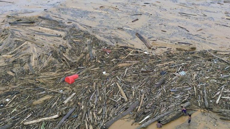 Gelondongan Kayu Sumbar Terdampar di Lampung, Polisi Lakukan Penyelidikan