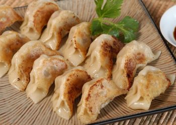 Cara Membuat Gyoza Ayam Homemade Renyah dengan Kulit Garing dan Isian Juicy