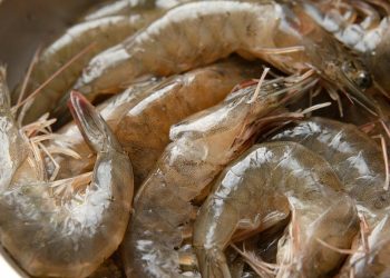 7 Cara Mengolah Udang Mentah agar Tidak Amis dan Tetap Lezat dan Empuk