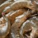 7 Cara Mengolah Udang Mentah agar Tidak Amis dan Tetap Lezat dan Empuk